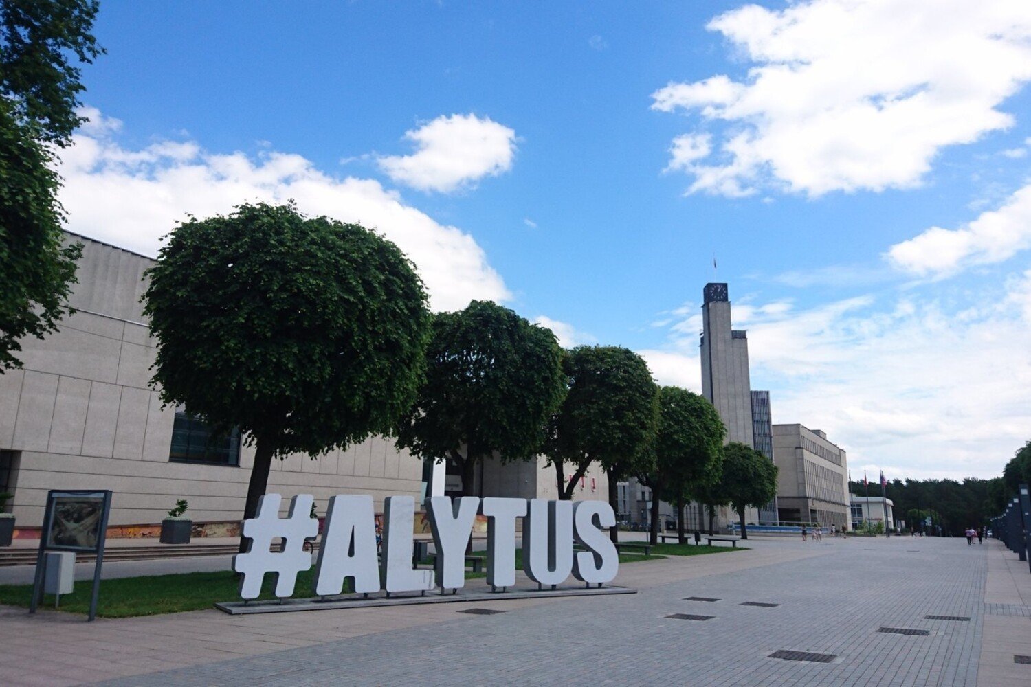 svetainių kūrimas Alytuje