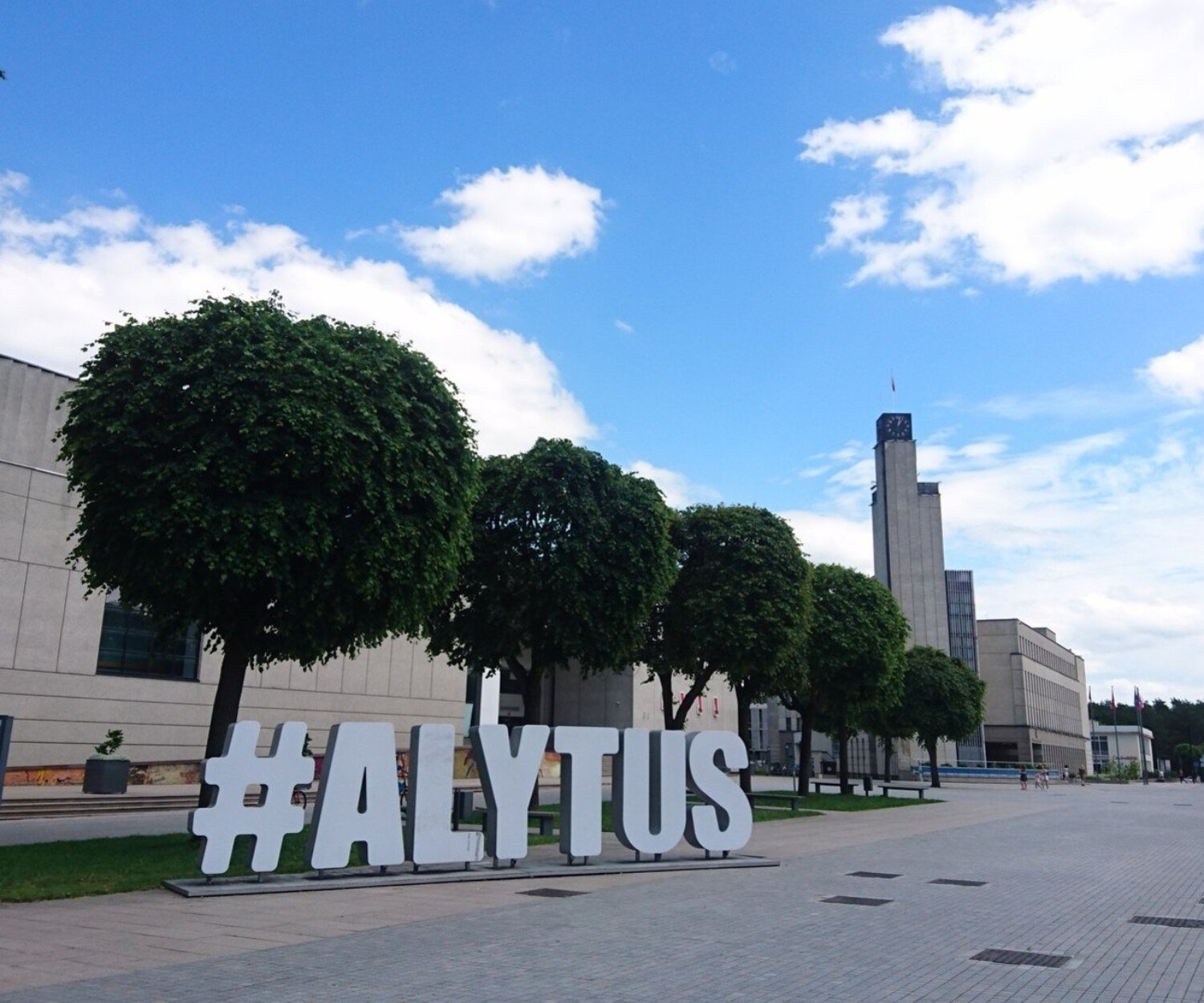 svetainių kūrimas Alytuje